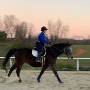 Meet your Posher, Brinley